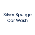 Silver Sponge